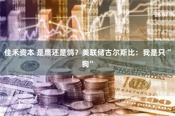 佳禾资本 是鹰还是鸽？美联储古尔斯比：我是只“狗”