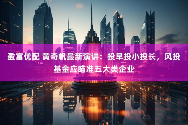 盈富优配 黄奇帆最新演讲：投早投小投长，风投基金应瞄准五大类企业