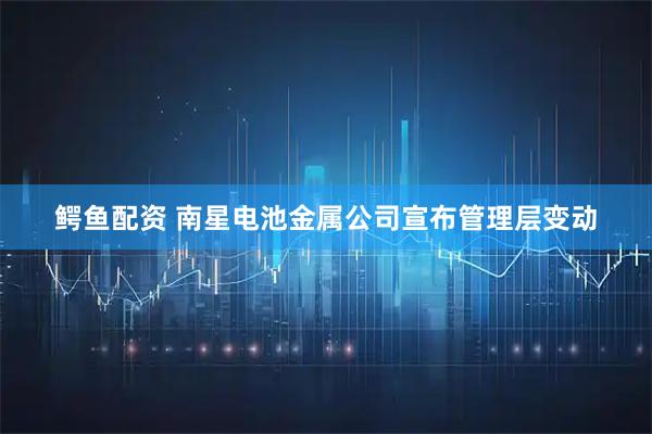 鳄鱼配资 南星电池金属公司宣布管理层变动