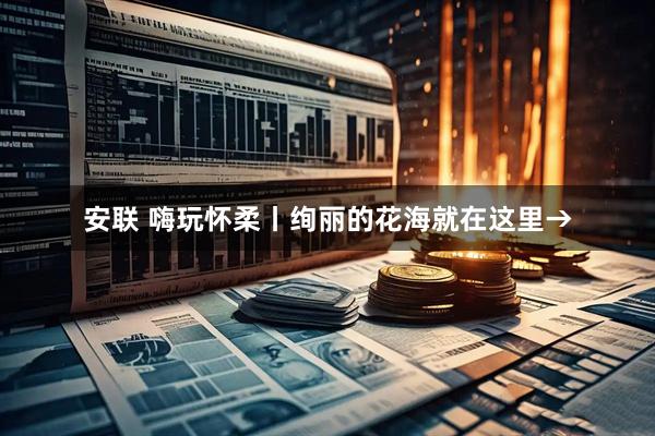 安联 嗨玩怀柔丨绚丽的花海就在这里→