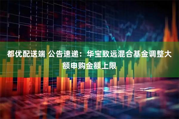 都优配送端 公告速递：华宝致远混合基金调整大额申购金额上限
